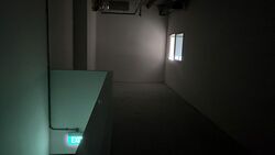FOOD ASCENT (D22), Factory #524819201